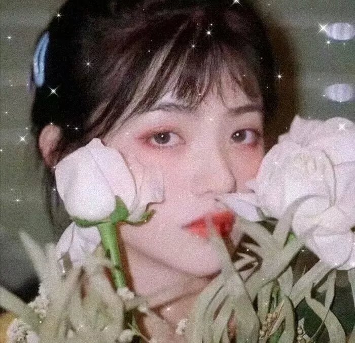 绿豚街影
