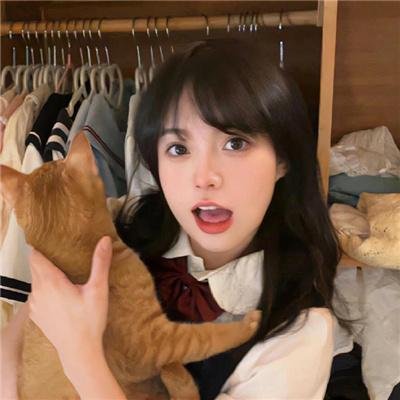御猫三戏锦毛鼠